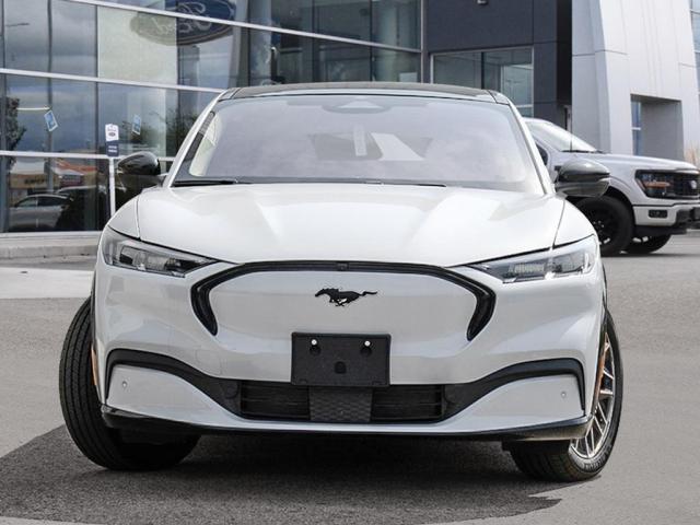 Photo of vehicle